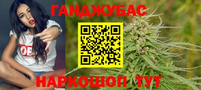 молекула духа Будённовск
