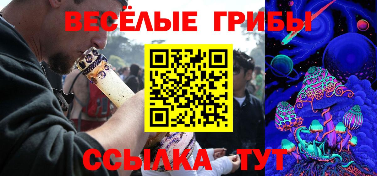Псилоцибиновые грибы прущие грибы Махачкала