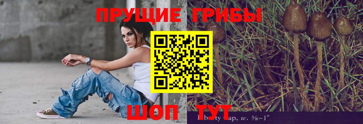 Махачкала  где можно купить наркотик  Вход с VPN  Галлюциногенные грибы Magic Shrooms  Галлюциногенные грибы Magic Shrooms 