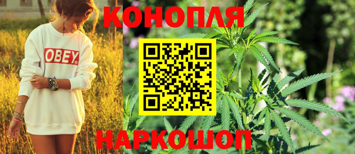 Махачкала  МАРИХУАНА планчик  Вход с VPN  Бошки Шишки Ganja  Конопля Bruce Banner  Бошки Шишки Amnesia 